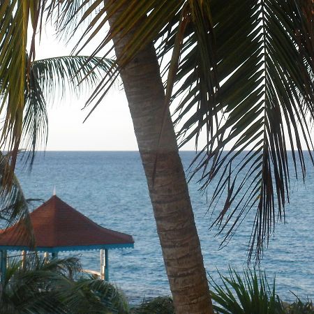 Villa Criss Ocho Rios Kültér fotó