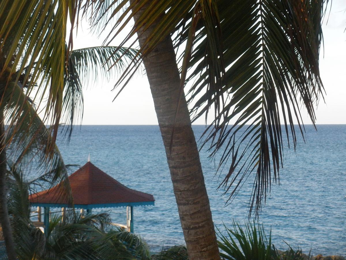 Villa Criss Ocho Rios Kültér fotó